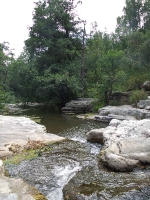 Карагайский бор и ущелье на реке Губерле