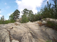 Карагайский бор и ущелье на реке Губерле