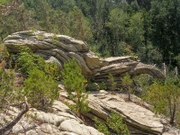 Скала «Черепаха» Карагайский бор и ущелье на реке Губерле