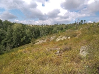 Карагайский бор и ущелье на реке Губерле