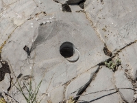 Нос-гора. Июль 2016 года