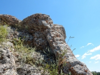 Нос-гора. Июль 2016 года