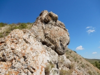 Нос-гора. Июль 2016 года