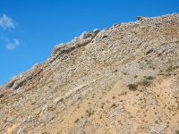 Нос-гора. Июль 2016 года