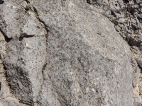 Нос-гора. Июль 2016 года