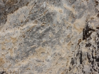 Нос-гора. Июль 2016 года