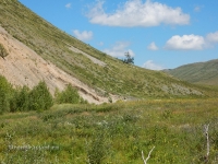 Нос-гора. Июль 2016 года