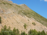 Нос-гора. Июль 2016 года