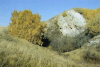 Надеждинско-Яковлевское карстовое поле