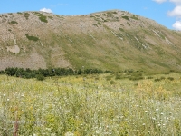 Яманское ущелье. 2016 год