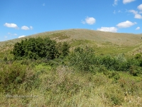 Яманское ущелье. 2016 год