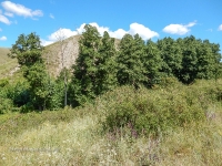 Яманское ущелье. 2016 год