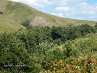 Яманское ущелье. 2016 год