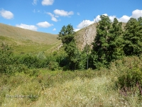 Яманское ущелье. 2016 год