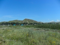 Андреевские шишки