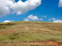 Гора Сарыкташ («Каменные овцы»)