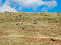 Гора Сарыкташ («Каменные овцы»)