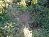 Карстовое поле Нижняя Туембетка