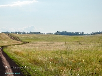 Сыртово-Каргалинские лески. Июль 2023 года