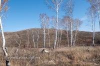 Мясниковская роща