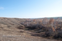 Мясниковская роща