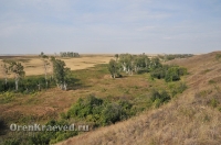 Мясниковская роща