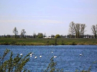 Лапшиновские озера