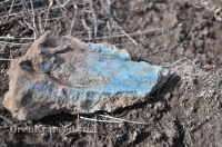 Мясниковский меднорудный яр. Август 2012 года