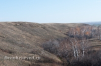 Мясниковский меднорудный яр. Октябрь 2011 года
