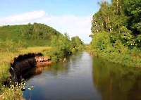 Урочище Березовая гора