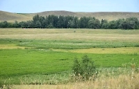 Урочище Гнилые лозки