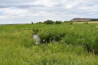 Урочище Гнилые лозки