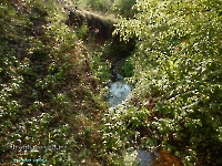 Дикаревский Утес (исток р. Верхней Каргалки). Июль 2023 года