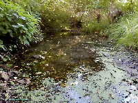 Дикаревский Утес (исток р. Верхней Каргалки). Июль 2023 года