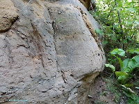 Дикаревский Утес (исток р. Верхней Каргалки). Июль 2023 года