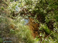 Дикаревский Утес (исток р. Верхней Каргалки). Июль 2023 года