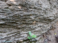 Дикаревский Утес (исток р. Верхней Каргалки). Июль 2023 года