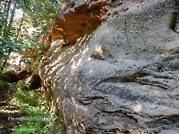 Дикаревский Утес (исток р. Верхней Каргалки)