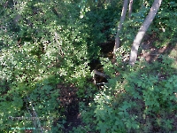 Дикаревский Утес (исток р. Верхней Каргалки). Июль 2023 года