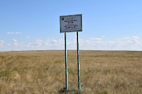 Карагачская степь