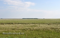 Джасайский осинник