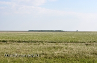 Джасайский осинник. Май 2012 года