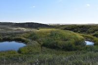 Урочище Акташка