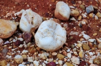 Обрыв Семицветка. Ноябрь 2012 года