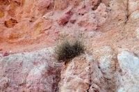 Обрыв Семицветка. Ноябрь 2012 года