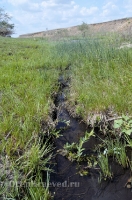 Родник Ащельсай (Аслисай). Июль 2012 года