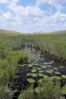 Родник Ащельсай (Аслисай). Июль 2012 года