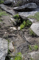 Родник Ащельсай (Аслисай). Июль 2012 года