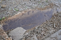 Яршалинский гранитный карьер