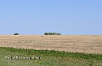 Маячные осины (Новосовхозный осинник). Май 2012 года